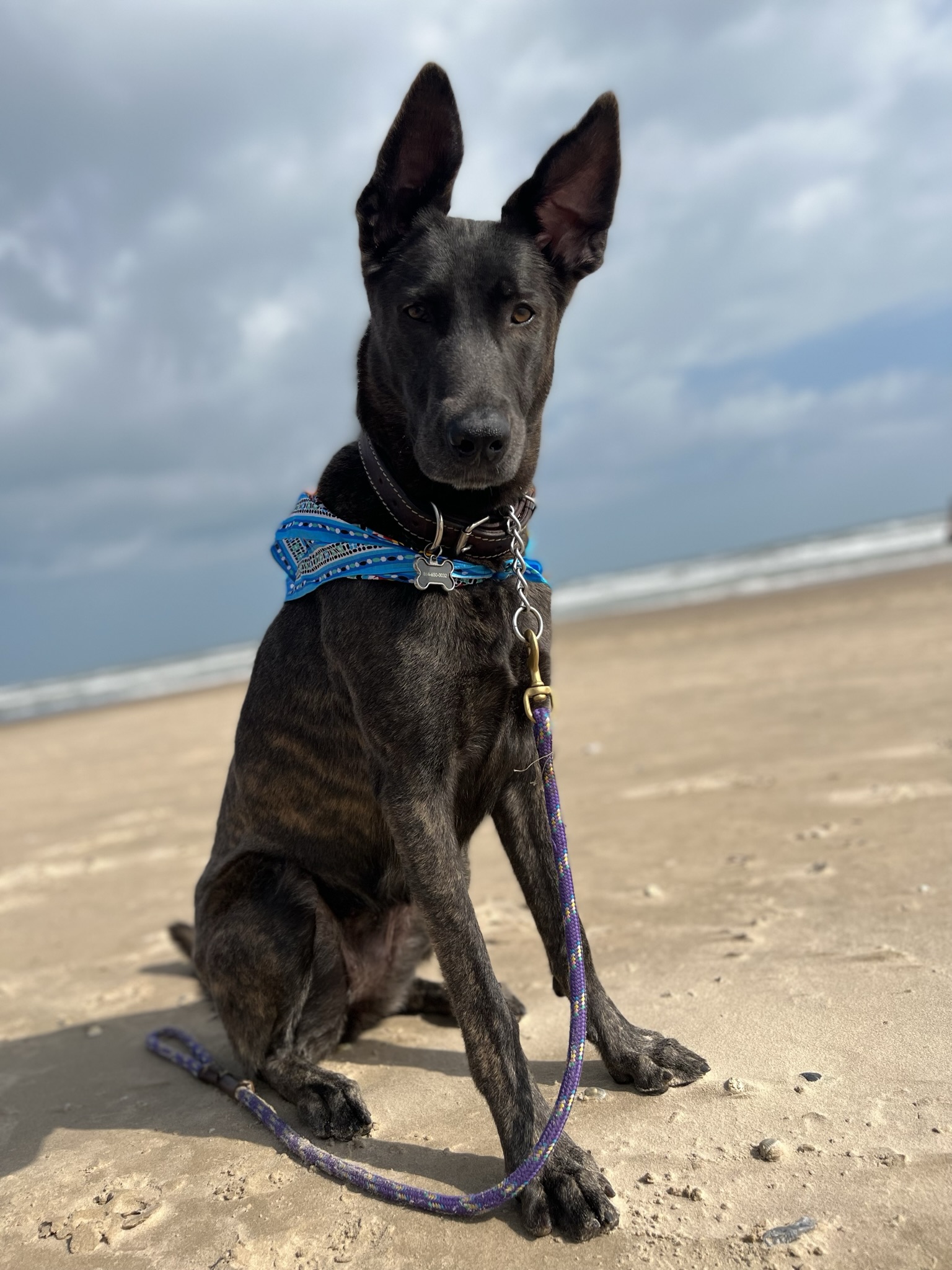 Azul on the beach