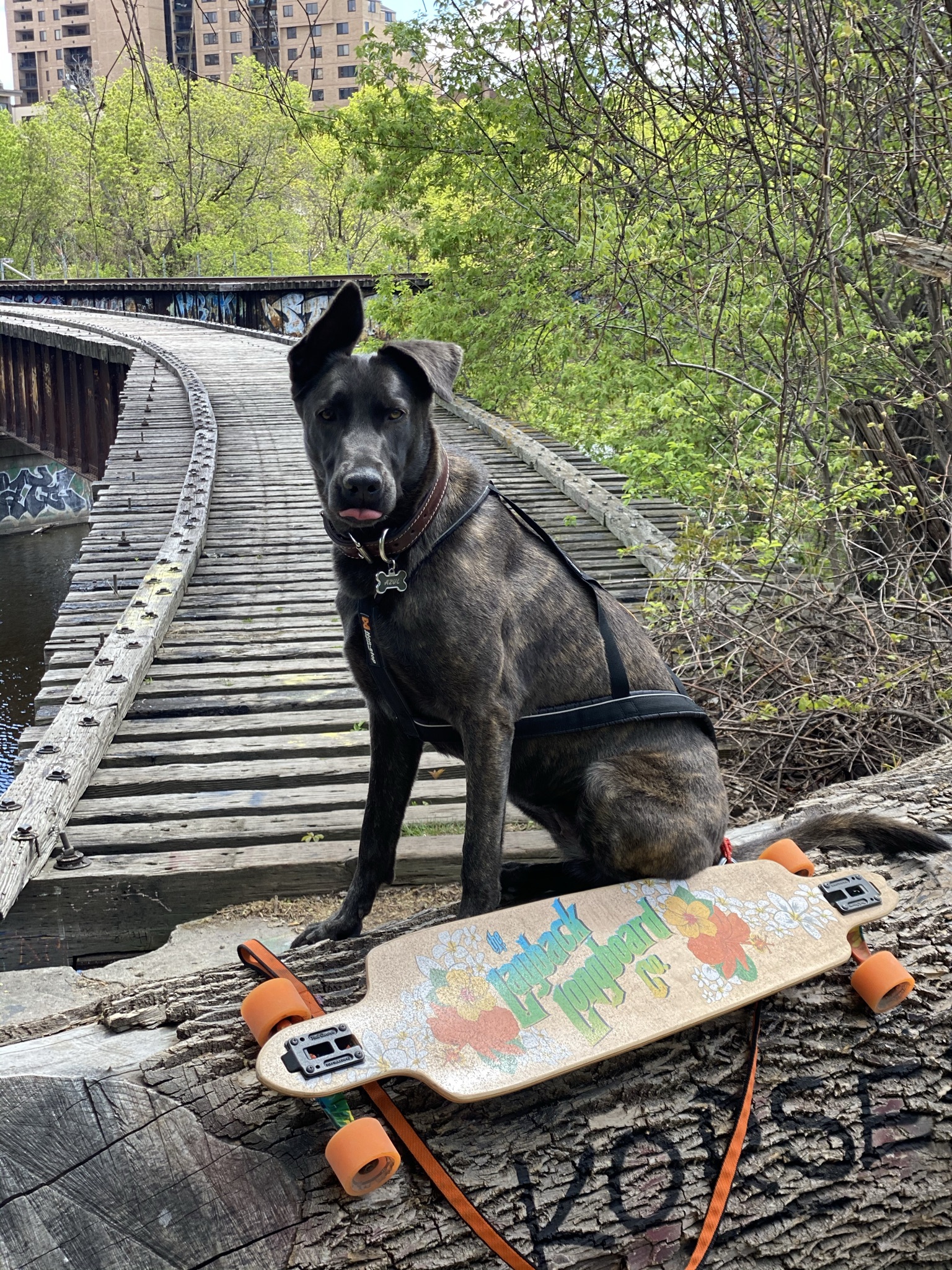 Azul on the bridge