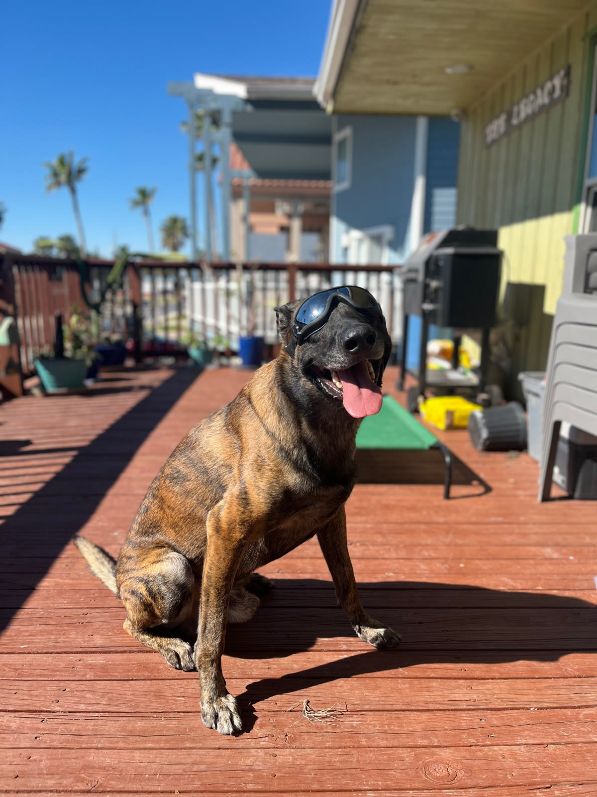 Dabo in his goggles